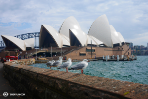 Een bezoek aan het Sydney Opera House, en een moment van vrede en harmonie… (foto door danser Ben Chen)