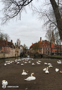 Meer Brugge. (foto door filmoperateur Annie Li)