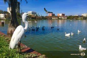 En voordat ze vertrekken naar Philadelphia voor 12 shows op een rij, sluit Shen Yun International Company haar Florida tour af en treedt ze op in Lakeland. (Foto door filmoperateur Annie Li)