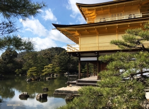 Danseres Betty Wang besluit de Kinkaku-ji (het Gouden Paviljoen) in Kyoto te bekijken.