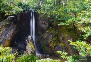 Het rustige en prachtige landschap rondom het Gouden Paviljoen is inclusief karperwaterval. 