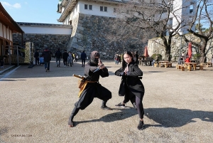 Klassieke Chinese dans en Chinese vechtsporten zijn als lang verloren broers en zussen, vraag het maar aan eerste soliste Michelle Lian en deze ninja.