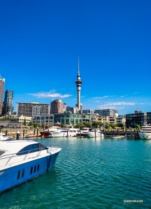 Sommige artiesten maken een wandeling naar de populaire Queens Wharf in Auckland om een kijkje te nemen.

(Foto door Tony Xue)